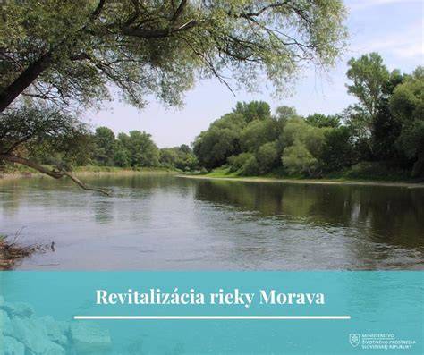 Splavovanie rieky Morava pri Devíne