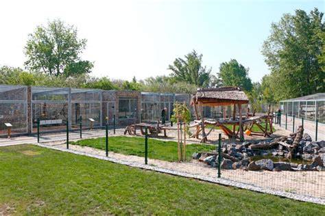 Malkia Park veľké mačkovité šelmy