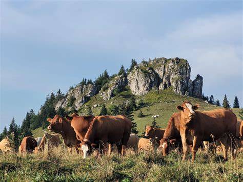 Vrchol Lubenej vo Veľkej Fatre