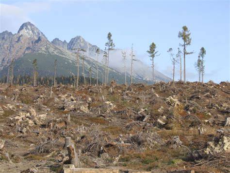 Vysoké Tatry po víchrici v roku 2004